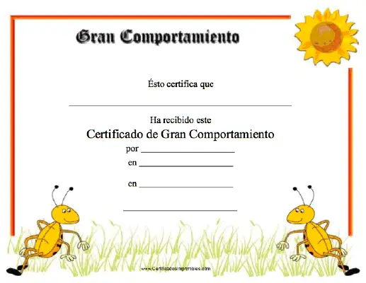 Gran Comportamiento certificate