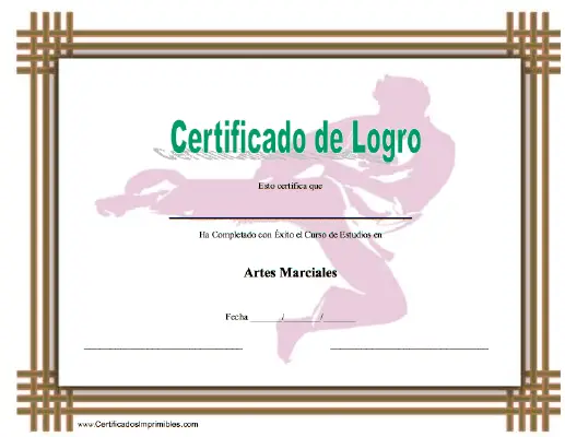 Certificado de Logro en Artes Marciales certificate