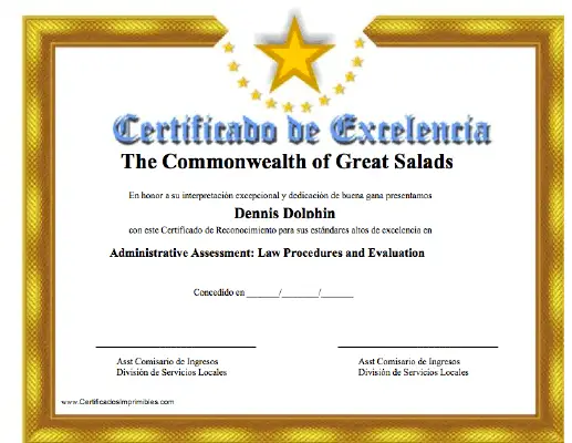 Certificado de Excelencía certificate