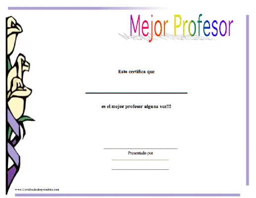 Mejor Profesor certificate