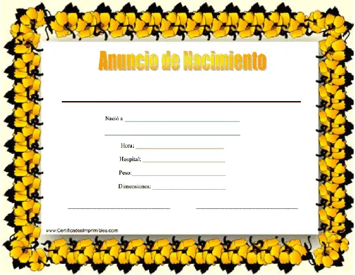 Anuncio de Nacimiento certificate