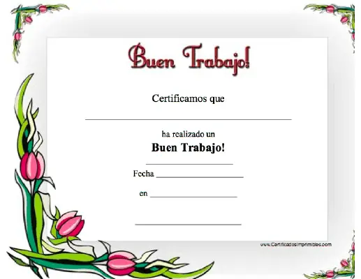 Buen Trabajo certificate